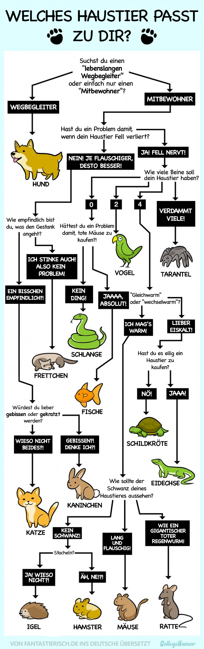 welcheshaustier